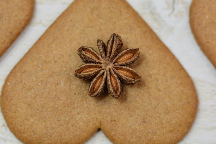 Gingerbread Cookie Recipe - Gingerbread Anise Cookies